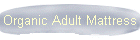 Organic Adult Mattress